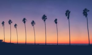 Top-Rated-Drug-Rehab-Centers