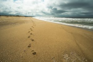 Top-Rated-Drug-Rehab-Centers